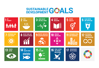 Integrating the SDGs into Management