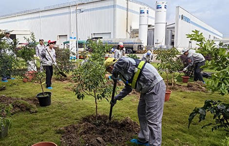 植樹(中国、インド)